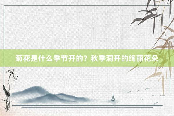 菊花是什么季节开的？秋季洞开的绚丽花朵